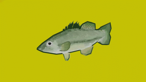 Bass Fish Hmmm GIF - Bass Fish Hmmm GIFs