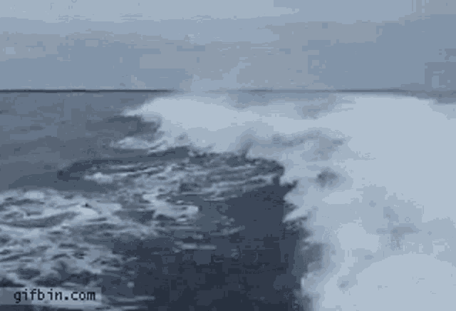 Dolphin Fail GIF - Dolphin Fail Jumping Out Of Water GIFs