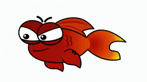 Fish Goldfish GIF - Fish Goldfish Serious GIFs