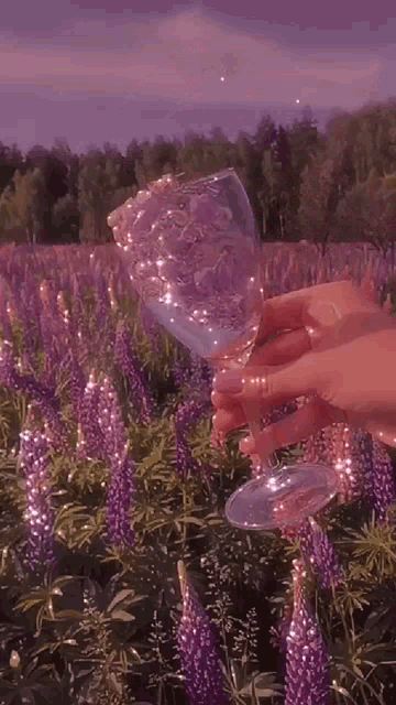 a person pouring water from a glass into a field of purple flowers .