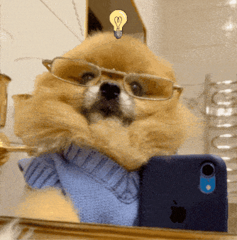 Selfie Puppy GIF - Selfie Puppy Cute GIFs