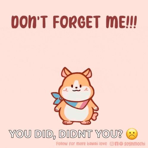 a picture of a hamster with the words do n't forget me you did didn 't you