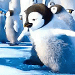 Cute Penguin Animated GIF - Cute Penguin Animated GIFs