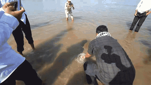 Swimming Rare Giant Softshell Turtle Released Into The Wild GIF - Swimming Rare Giant Softshell Turtle Released Into The Wild On The Sea GIFs