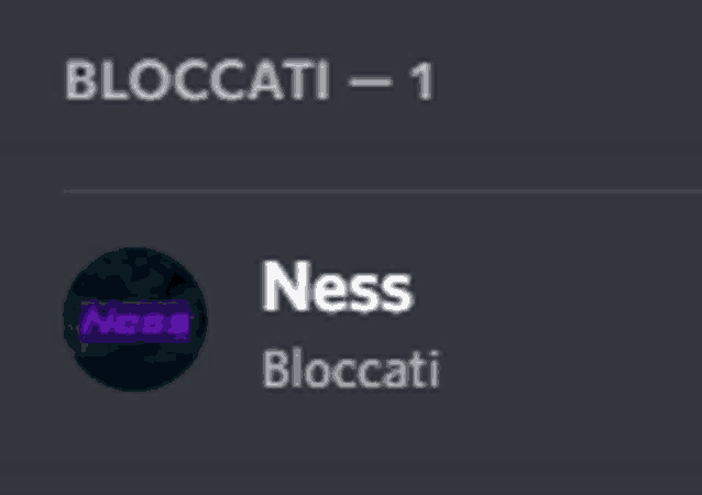 a screenshot of a discord server with the name ness on it