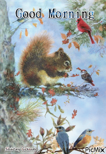 Good Morning Squirrel GIF - Good Morning Squirrel Bird GIFs