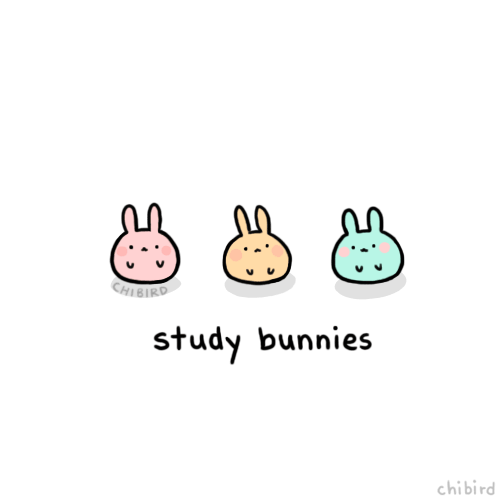 Study Hard GIF - Bunny Cute Motivation GIFs