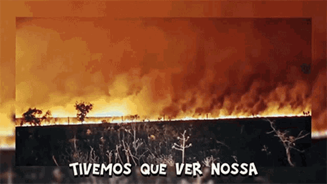 a picture of a burning field with the words " tivemos que ver nossa " on the bottom