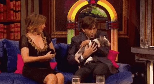 a man and a woman are sitting on a couch holding a small puppy