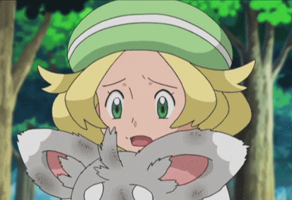 a girl in a green hat holds a gray animal