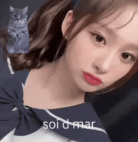a girl with a cat in the background and the words soi d mar below her