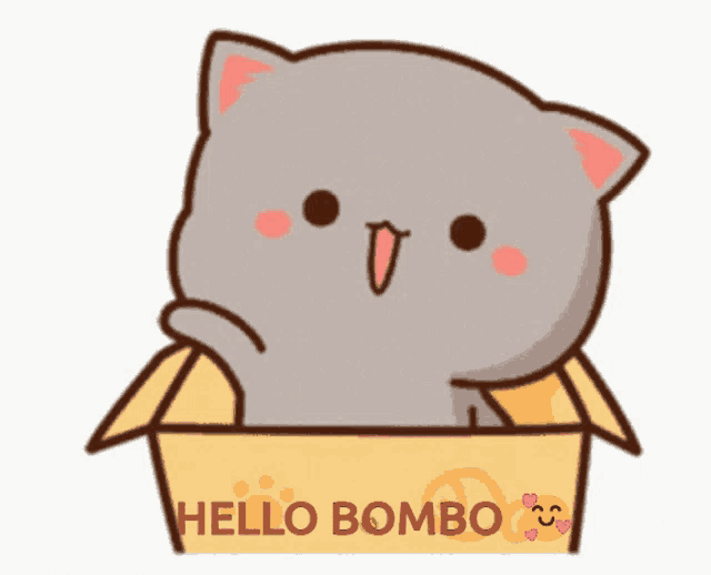 Bombo GIF