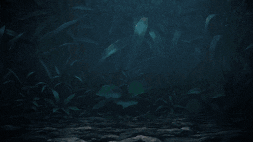 a person 's feet are visible in a dark scene