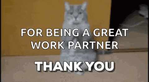 a cat is sitting on its hind legs and saying `` for being a great work partner , thank you '' .