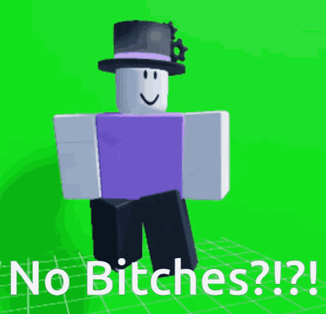 a roblox character wearing a top hat and a purple shirt says " no bitches "
