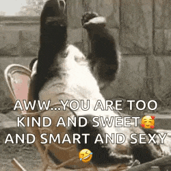 a panda bear is sitting in a chair with its paws in the air and says `` you are too kind and sweet and smart and sexy ''