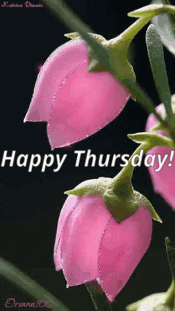 a picture of pink flowers with the words happy thursday on it