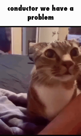 Conductor We Have A Problem Cat GIF - Conductor We Have A Problem Cat Cute GIFs