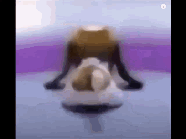 a frog is laying on its back on a purple surface .