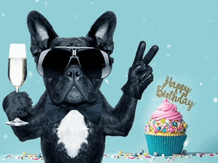 a dog wearing sunglasses and a bow tie holds a glass of champagne in front of a cupcake that says happy birthday