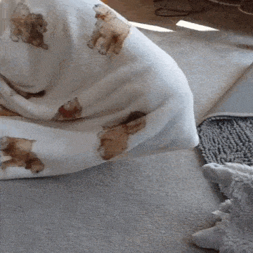 a white blanket with brown bears on it is laying on the floor .