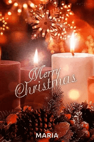 a merry christmas greeting card with two lit candles and pine cones