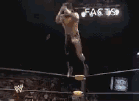 a man is flying through the air in a wrestling ring with the words facts written on the bottom .