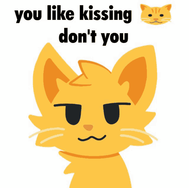 a picture of a cat with the words " you like kissing don 't you " below it