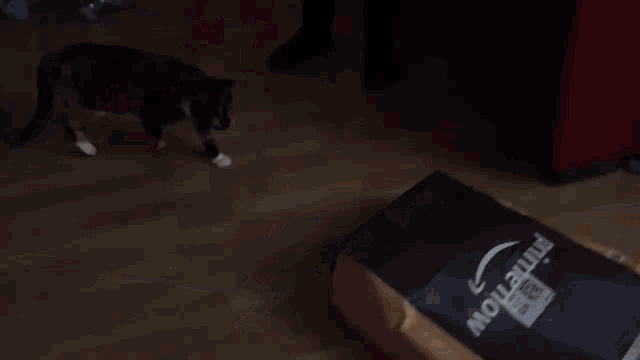 a calico cat is walking on a wooden floor in a living room .