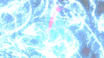 a blue and purple background with a white circle in the center