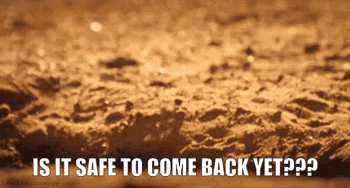 Safe Is It GIF - Safe Is It Is It Safe To Come Back GIFs
