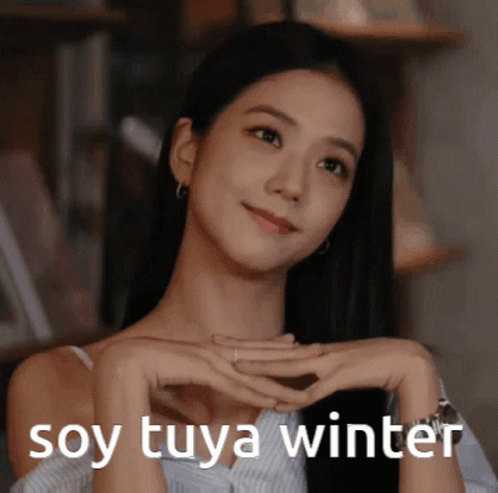 Jisoo Winter Jisoo Blackpink GIF - Jisoo Winter Jisoo Blackpink Winsoo GIFs