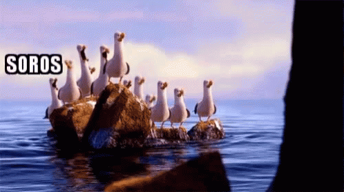 Finding Nemo Soros GIF - Finding Nemo Soros Seagulls GIFs