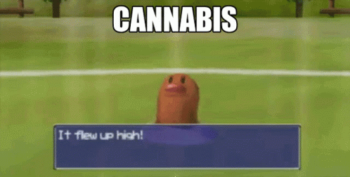 Cannabis Weed GIF - Cannabis Weed Digglet GIFs