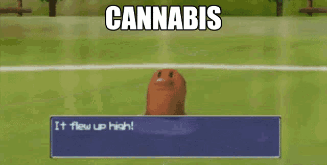 a video game screen shows a pokemon saying cannabis it flew up high