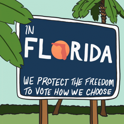 In Florida We Protect The Freedom To Vote How We Choose Florida GIF - In Florida We Protect The Freedom To Vote How We Choose Florida Fl GIFs