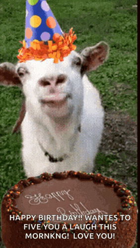 a goat wearing a party hat is standing next to a cake that says happy birthday