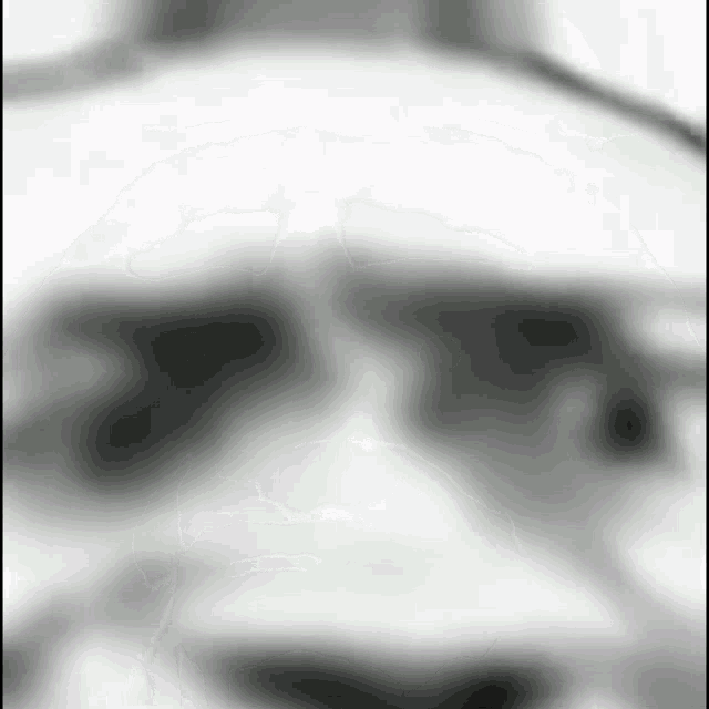 a blurry picture of a person wearing sunglasses on a white background .