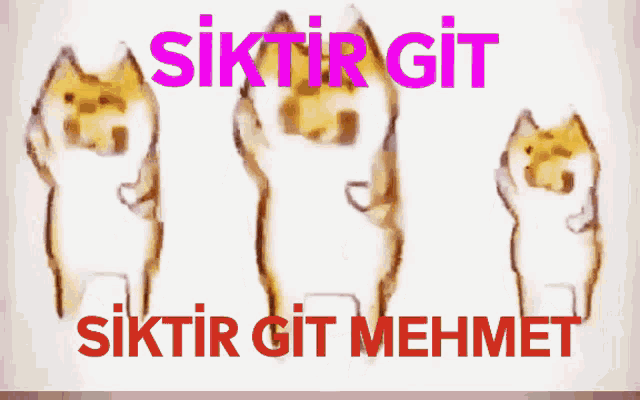 Mehmet Siktir GIF - Mehmet Siktir Gi̇t GIFs