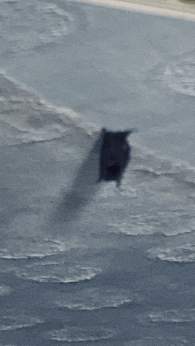 a shadow of a person is cast on a blue surface