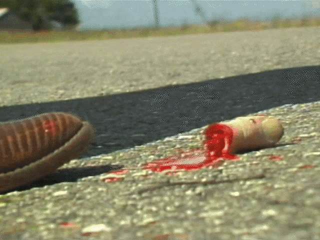 a person 's foot is standing next to a bloody object