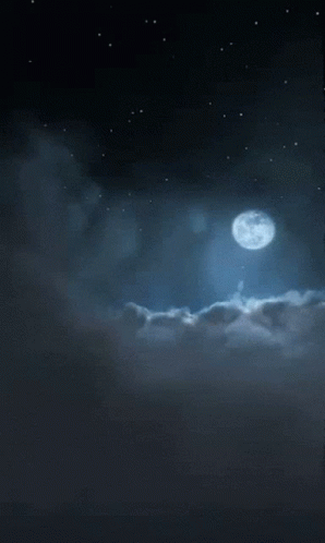 Full Moon Starry Night GIF - Full Moon Starry Night Fly Me To The Moon GIFs