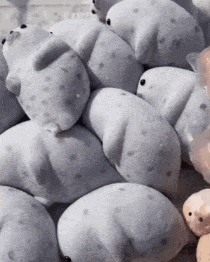 a bunch of stuffed seals are stacked on top of each other on a table