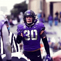 a football player wearing a purple uniform with the number 30 on it