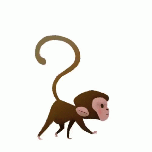 猴子 GIF - Monkey GIFs