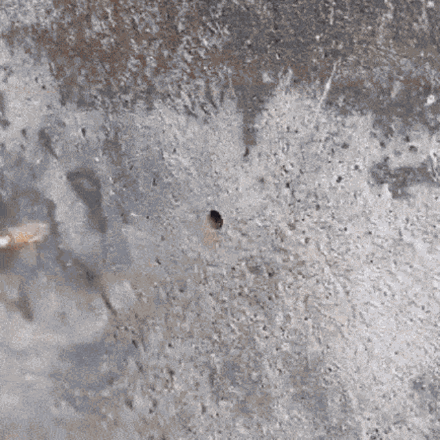 a person is drilling a hole in a piece of metal with a screwdriver .