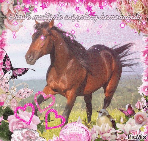 a picture of a horse with the words " i have multiple crippling hemorroids " on the bottom