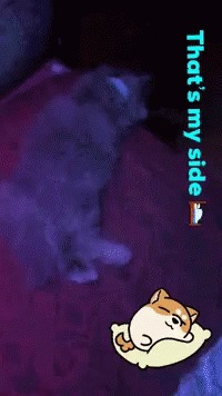 Sleeping Cat On Bed GIF - Sleeping Cat On Bed My Side GIFs