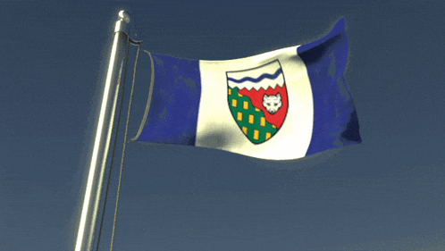 a blue and white flag with a lion on it