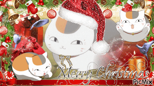 a picture of a cat wearing a santa hat with merry christmas written on it